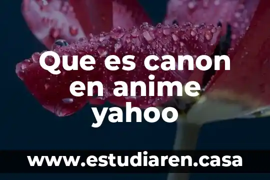 Qué es un anime couple 3 Que es canon en anime yahoo