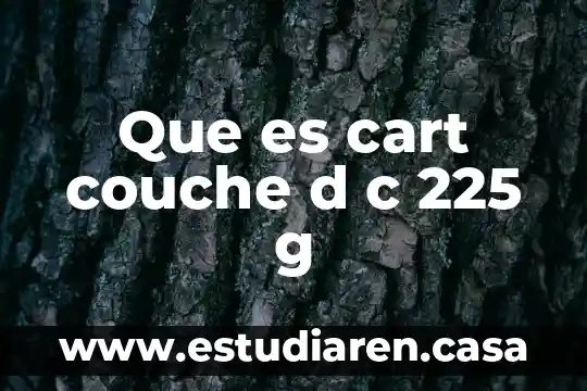 Que es lo saludable d las bebidas alcoholicas 4 Que es cart couche d c 225 g
