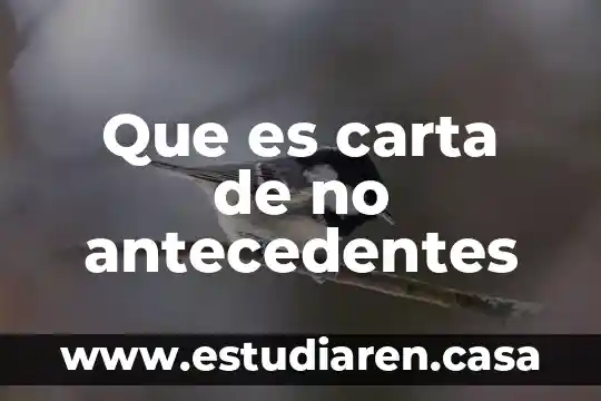 Que es una carta de enterado 6 Que es carta de no antecedentes