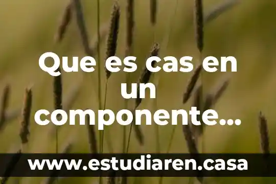 Que es un componente medico 4 Que es cas en un componente quimico