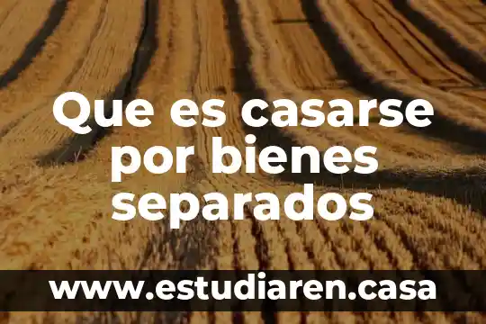 Que es un plan de adquisiciones de bienes y servicios 8 Que es casarse por bienes separados