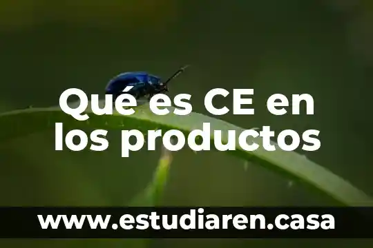 Qué es la combustión humana espontánea en la CE RI 6 Qué es CE en los productos