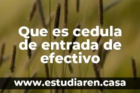 Qué es más efectivo avapena o hidrocortisona 4 Que es cedula de entrada de efectivo