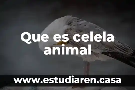 Que es celela animal