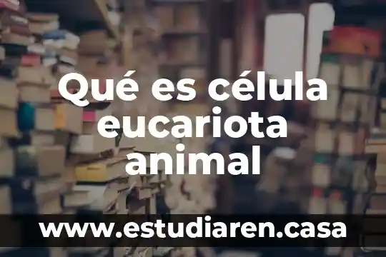 Qué es célula eucariota animal