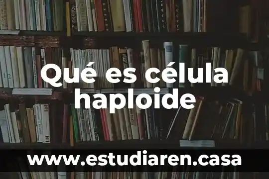 Que es mas pequeño una celula o una enzima 5 Qué es célula haploide