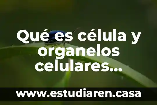 Qué es célula y organelos celulares nombres UNAM