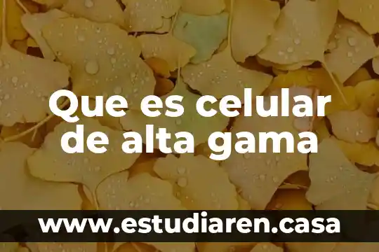 Que es una linea y gama de productos 3 Que es celular de alta gama