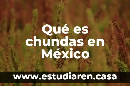 Qué es chundas en México