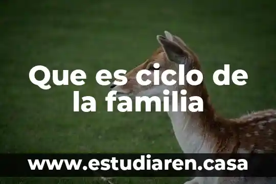 Que es ciclo de la familia
