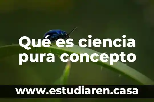 Que es agua completamente pura 3 Qué es ciencia pura concepto