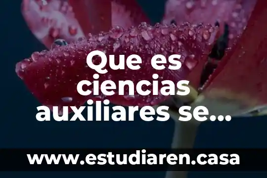 Que es ciencias auxiliares se apoyan la historia