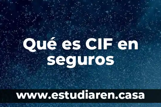 Qué es un proceder ético 4 Qué es CIF en seguros