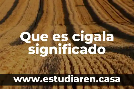 Que es cigala significado