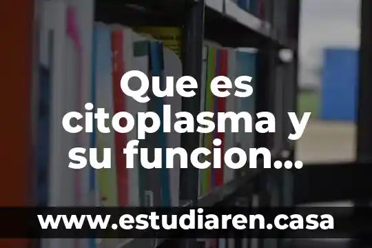 Qué es célula animal y vegetal sus partes y funciones 6 Que es citoplasma y su funcion celula vegetal