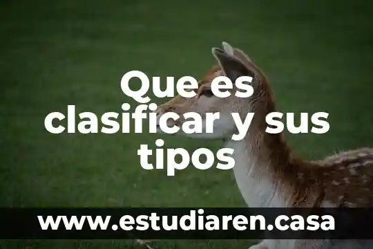 Que es clasificar y sus tipos