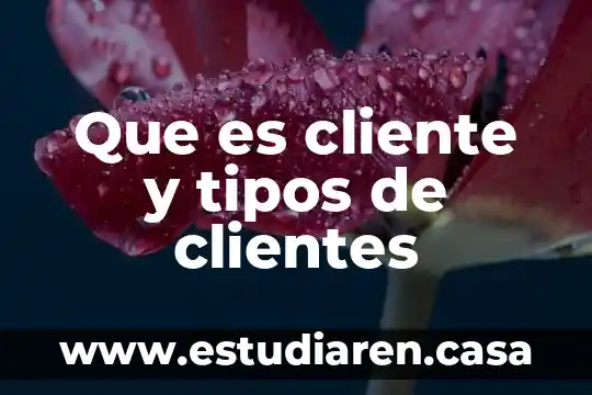 Que es cliente y tipos de clientes