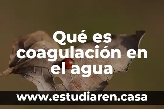Qué es coagulación en el agua