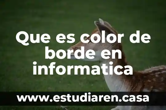 Que es color de borde en informatica