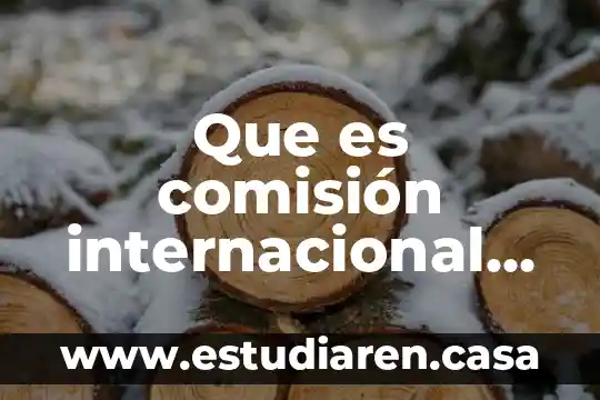 Que es comisión internacional de enfermeria