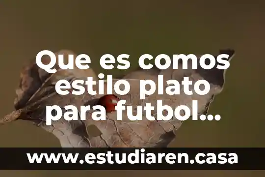Que es comos estilo plato para futbol americano 20 Que es comos estilo plato para futbol americano