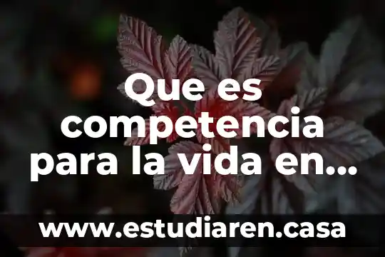 Qué es la denominación social de una sociedad 8 Que es competencia para la vida en sociedad
