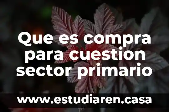 Que es un termino en cuestion de definicion 4 Que es compra para cuestion sector primario
