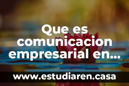 Definir que es un sistema de servicio 3 Que es comunicacion empresarial en el servicio al cliente