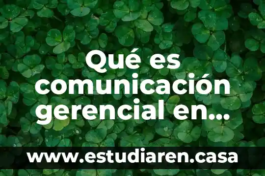 Que es sistema de informaci贸n gerencial en una empresa 4 Qu茅 es comunicaci贸n gerencial en una empresa