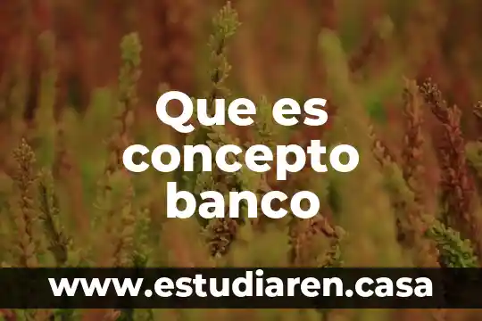 Que es concepto banco