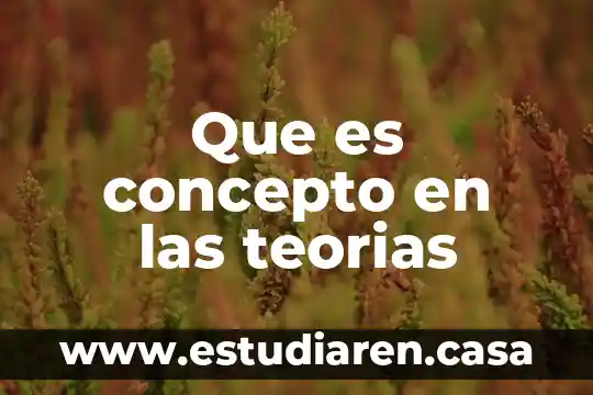 Que es concepto en las teorias