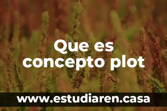 Que es concepto plot