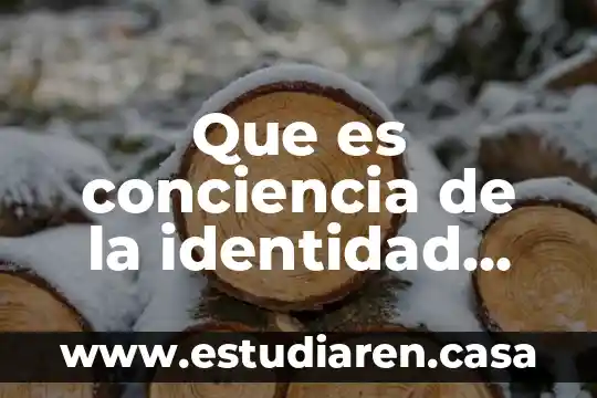 Que es cmic nacional 3 Que es conciencia de la identidad nacional