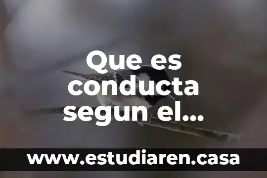 Que es conducta segun el conductismo