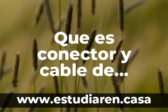 Que es conector y cable de alimentación