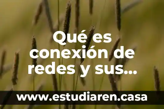 Qué es conexión de redes y sus tipos