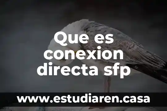 Que es conexion directa sfp