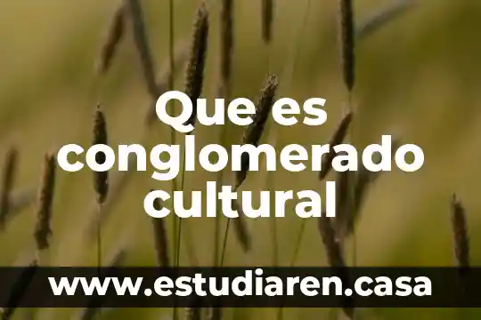 Que es una controversia cultural con bibliografia 3 Que es conglomerado cultural