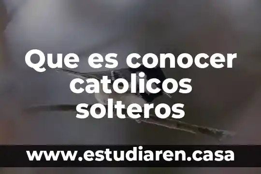 Por que es interesante conocer la vida de un personaje 3 Que es conocer catolicos solteros