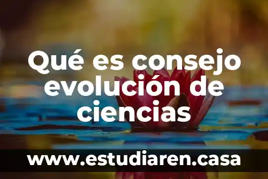 Que es la punto de distancia en ciencias fisica 5 Qué es consejo evolución de ciencias