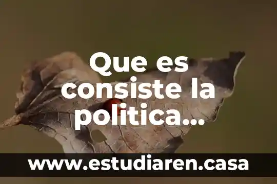 Por que es importante el sistema comercial 7 Que es consiste la politica comercial proteccionista