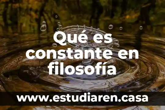 Que es sujeto en filosofía 6 Qué es constante en filosofía