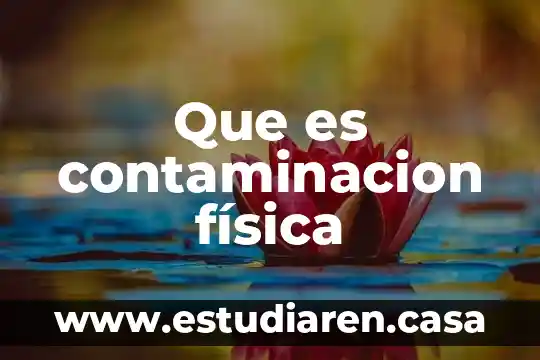 Que es contaminacion física