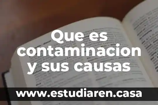 Que es contaminacion y sus causas