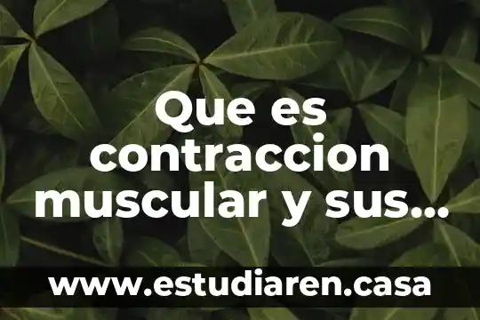 Que es contraccion muscular y sus tipos
