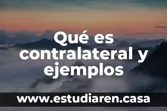 Qué es contralateral y ejemplos