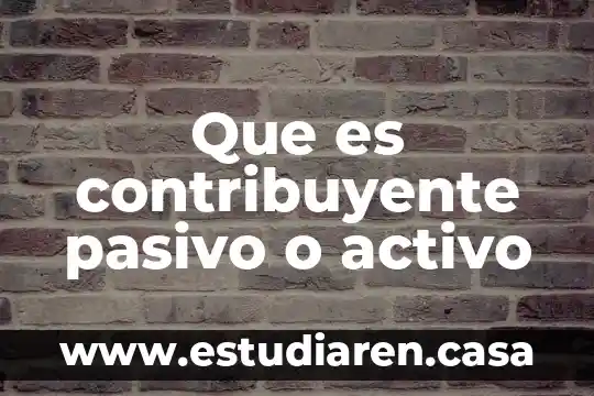 Que es el sistema financiero de un pais 5 Que es contribuyente pasivo o activo