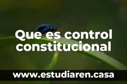 Que es control constitucional 17 Que es control constitucional