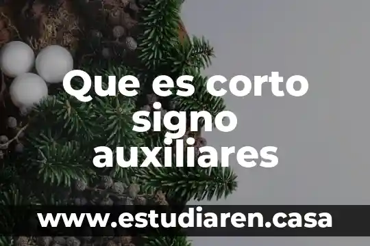 Que es corto signo auxiliares