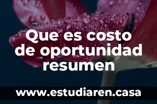 Que es un area de oportunidad en una empresa 4 Que es costo de oportunidad resumen